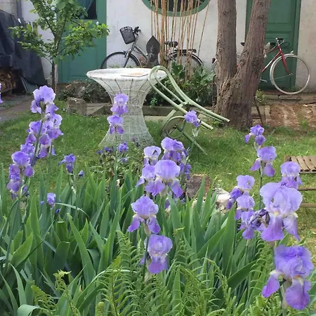 Charming House Near Paris 蒙特勒伊